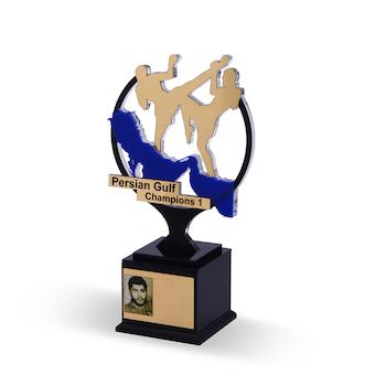 تندیس مسابقات کاراته، تندیس پلکسی